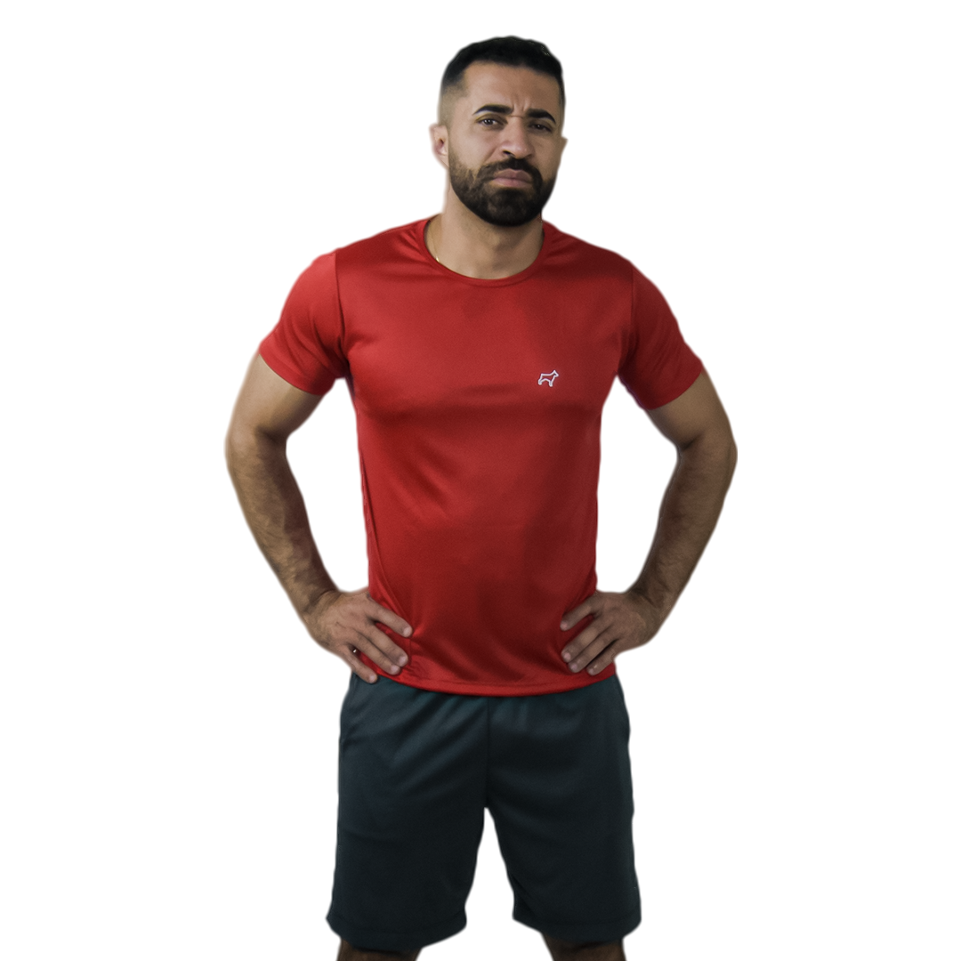 Camiseta Academia Treino Corrida Esportes Dry Fit Masculina Parvori Várias Cores