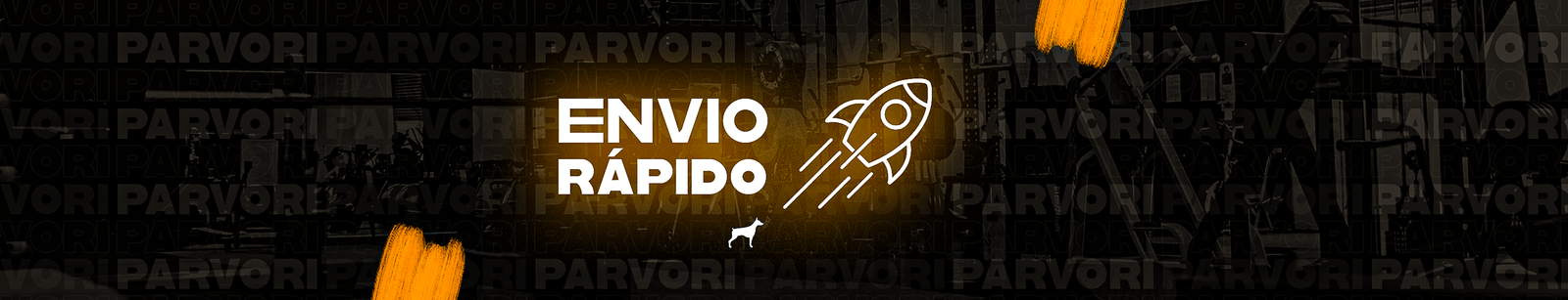 Envio Rápido Site 2024